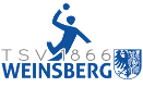 TSV 1866 Weinsberg: Handball Logo